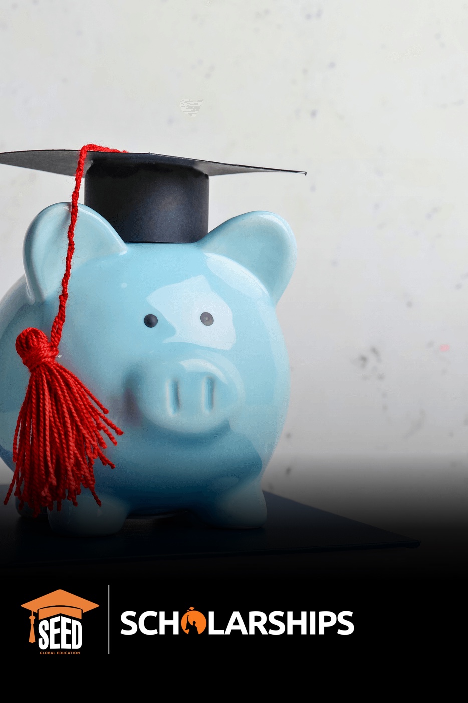 Scholarships Program